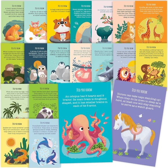 40 Animal Fun Fact Postcards Bulk Pack for Kids Student Friends & Teachers - Picture 1 of 6